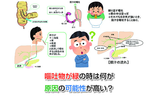 【まとめ】ロタウイルス胃腸炎の感染経路・期間・検査・治療！